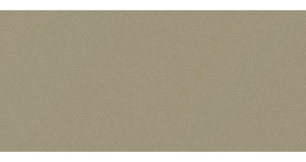 Сайдинг CEDRAL smooth (гладкий) С03 купить в Новотроицке