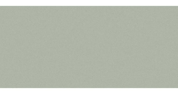 Сайдинг CEDRAL smooth (гладкий) С06 купить в Новотроицке